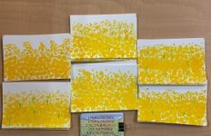 ケアプラザボランティア